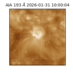 saia - 2026-01-31T10:00:04.843000