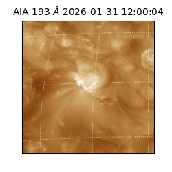 saia - 2026-01-31T12:00:04.843000