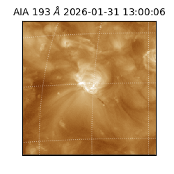 saia - 2026-01-31T13:00:06.937000