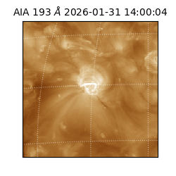 saia - 2026-01-31T14:00:04.843000