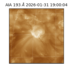 saia - 2026-01-31T19:00:04.843000