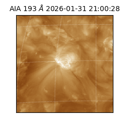 saia - 2026-01-31T21:00:28.843000