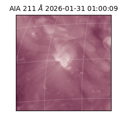 saia - 2026-01-31T01:00:09.629000