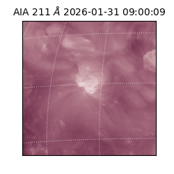 saia - 2026-01-31T09:00:09.626000