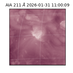 saia - 2026-01-31T11:00:09.626000