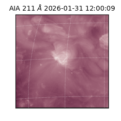 saia - 2026-01-31T12:00:09.626000