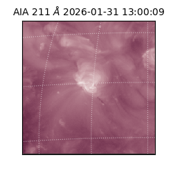 saia - 2026-01-31T13:00:09.623000