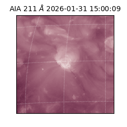 saia - 2026-01-31T15:00:09.626000