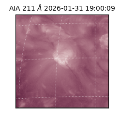 saia - 2026-01-31T19:00:09.626000