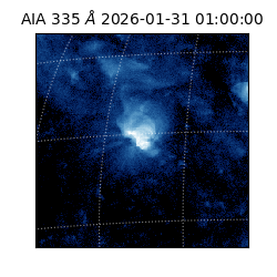 saia - 2026-01-31T01:00:00.626000