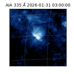 saia - 2026-01-31T03:00:00.625000