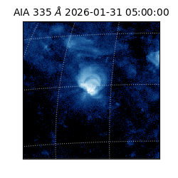 saia - 2026-01-31T05:00:00.622000