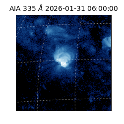 saia - 2026-01-31T06:00:00.626000