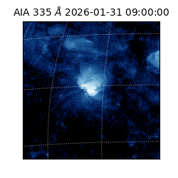 saia - 2026-01-31T09:00:00.622000