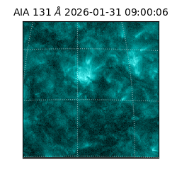 saia - 2026-01-31T09:00:06.625000