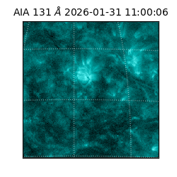 saia - 2026-01-31T11:00:06.622000