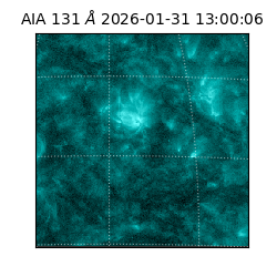 saia - 2026-01-31T13:00:06.638000