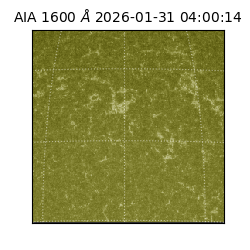 saia - 2026-01-31T04:00:14.126000