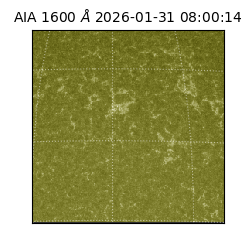 saia - 2026-01-31T08:00:14.126000