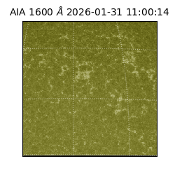 saia - 2026-01-31T11:00:14.126000