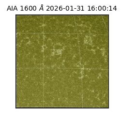 saia - 2026-01-31T16:00:14.125000