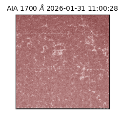 saia - 2026-01-31T11:00:28.737000