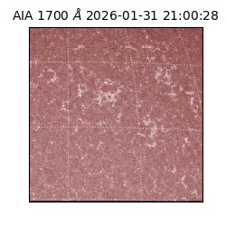 saia - 2026-01-31T21:00:28.726000