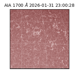 saia - 2026-01-31T23:00:28.717000