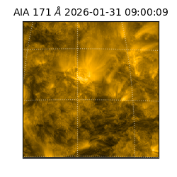 saia - 2026-01-31T09:00:09.350000