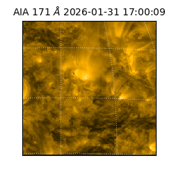 saia - 2026-01-31T17:00:09.350000