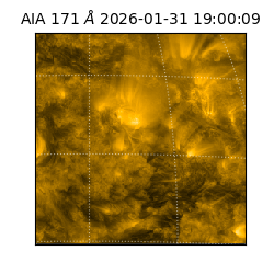 saia - 2026-01-31T19:00:09.350000