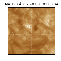 saia - 2026-01-31T02:00:04.846000