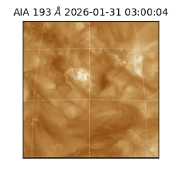 saia - 2026-01-31T03:00:04.843000