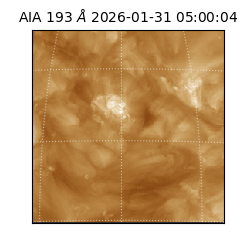 saia - 2026-01-31T05:00:04.843000