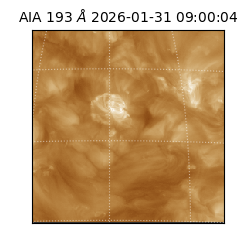 saia - 2026-01-31T09:00:04.843000