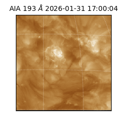 saia - 2026-01-31T17:00:04.843000