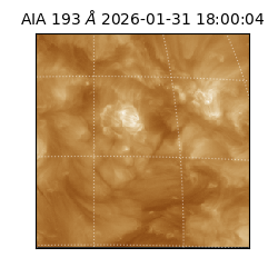 saia - 2026-01-31T18:00:04.843000