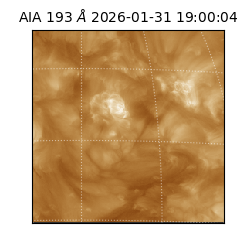 saia - 2026-01-31T19:00:04.843000