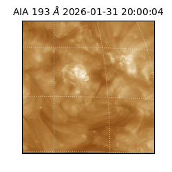 saia - 2026-01-31T20:00:04.843000