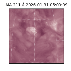 saia - 2026-01-31T05:00:09.630000