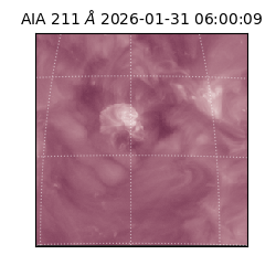 saia - 2026-01-31T06:00:09.633000