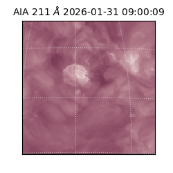 saia - 2026-01-31T09:00:09.626000