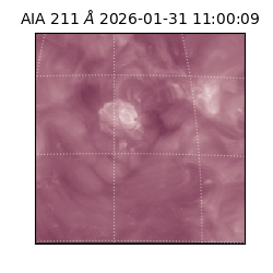 saia - 2026-01-31T11:00:09.626000