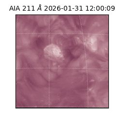 saia - 2026-01-31T12:00:09.626000