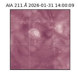 saia - 2026-01-31T14:00:09.626000