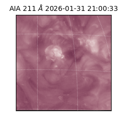 saia - 2026-01-31T21:00:33.629000