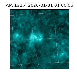 saia - 2026-01-31T01:00:06.622000