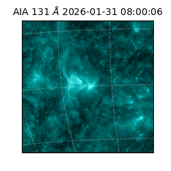 saia - 2026-01-31T08:00:06.622000