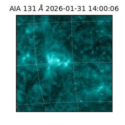 saia - 2026-01-31T14:00:06.622000