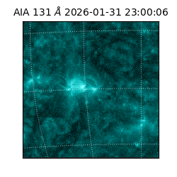 saia - 2026-01-31T23:00:06.622000